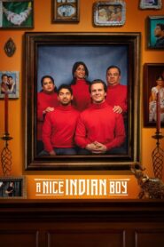 A Nice Indian Boy (2025) Hindi Dubbed AMZN