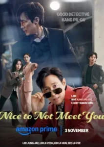 Nice to Not Meet You (2025) Hindi Season 1 Complete