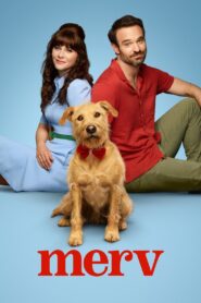 Merv (2025) Hindi Dubbed