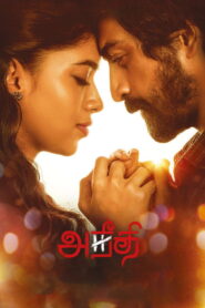 Aneethi (2023) Hindi Dubbed AMZN