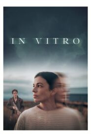 In Vitro (2025)
